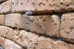 Just another brick in the wall? 