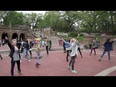 Carl and Drew's Flash Mob Marriage Proposal in Central Park