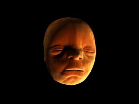 Face Development in the Womb - Inside the Human Body: Creation - BBC One