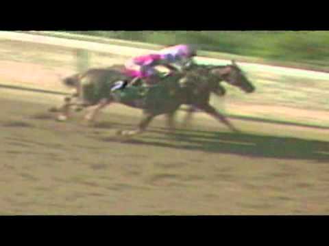 2014 Belmont Stakes - History in the Making with Steve Cauthen