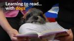 Learning to read with dogs