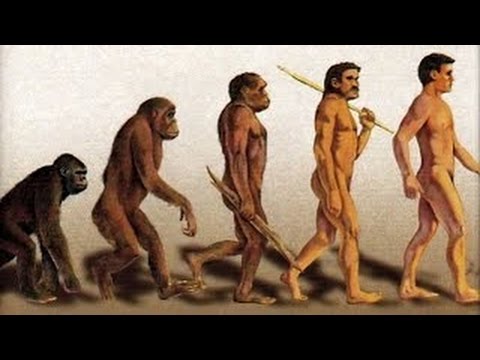 Darwin's Theory Of Evolution - Discovery History Science Documentary