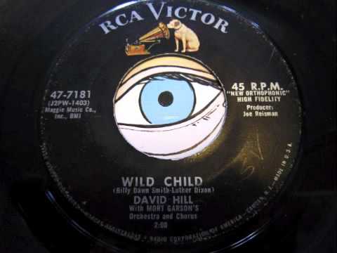 David Hill - Wild Child