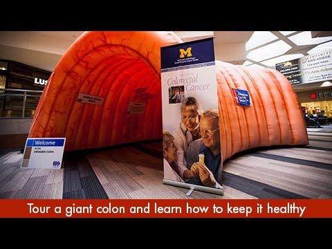 Tour a Giant Colon with a University of Michigan Health System Expert