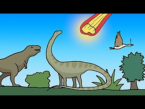 How Many Mass Extinctions Have There Been?