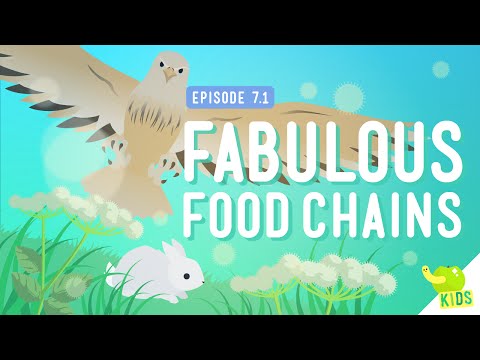 Fabulous Food Chains: Crash Course Kids #7.1