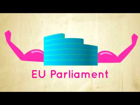 The EU Parliament and the Treaty of Lisbon.