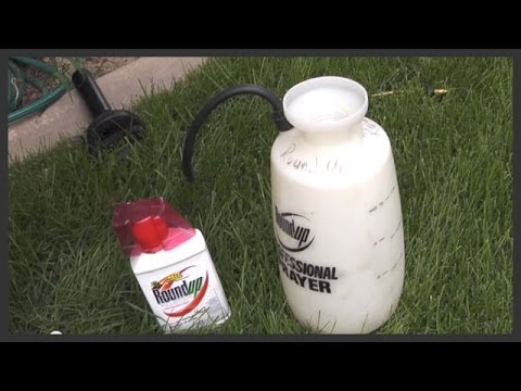 How to apply Roundup weed killer