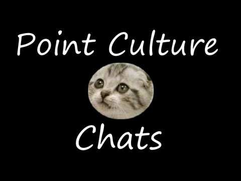 Point Culture sur les Chats