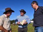 QUEENSLAND dairy farmers met at Maleny to discuss ways of surviving increasing pressures on their industry.