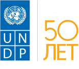 UNDP logo