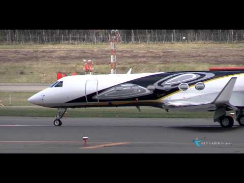 【Business Jet Collection】マクロス・バルキリー風塗装 -Nike Inc.- Gulfstream G-V N6458