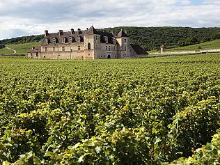 Landscape view of a vineyard in Burgundy, France with typical chateau, stone walls and hills in the background. Picture: istock