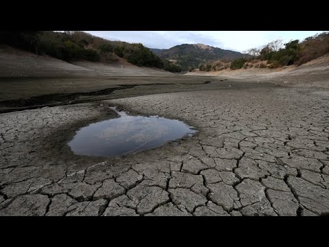 KQED NEWSROOM: California's Extreme Drought