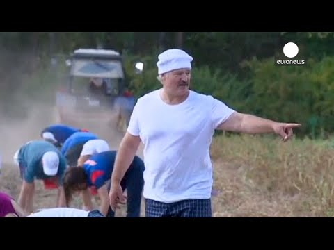 Belarus President Lukashenko harvests potatoes in his backyard