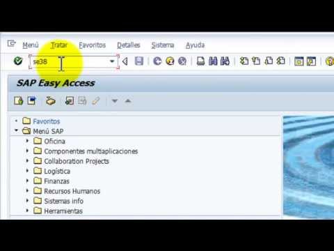 Abap en Español - Clase 001  - Declaración de Datos