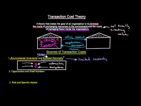 Transaction Cost Theory and Transaction Costs Sources | Introduction To Organisations | MeanThat