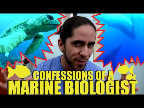 Confessions of a Marine Biologist - OFFICIAL Trailer | SciAll.org