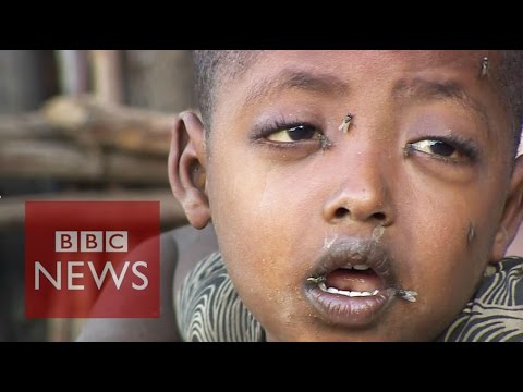 15m people in Ethiopia will need food aid by 2016 - BBC News