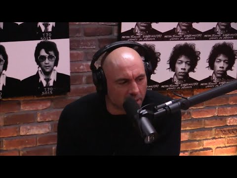 Joe Rogan On Universal Basic Income