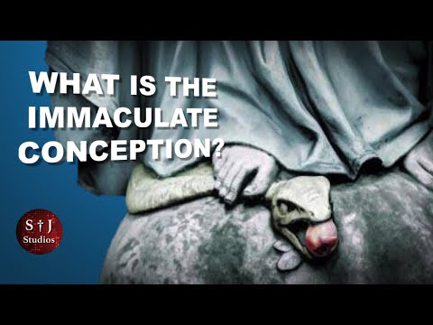 What is the Immaculate Conception?