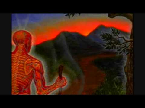 Tool - The patient (Subtitulado español)