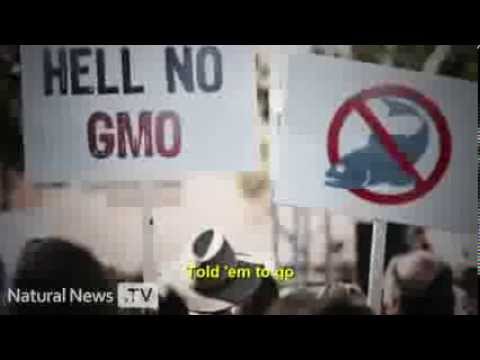 Seeds Of Death  GMO's EXPOSED   -  Full Documentary