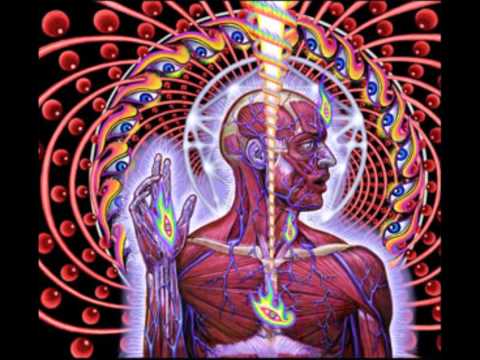 Tool Lateralus (Full Album)