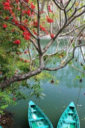 Phewa Lake Pokhara, Nepal.