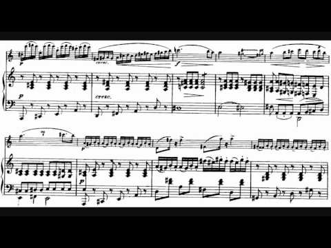 Schubert - Arpeggione Sonata in A minor (played on the arpeggione), D. 821 (1824)