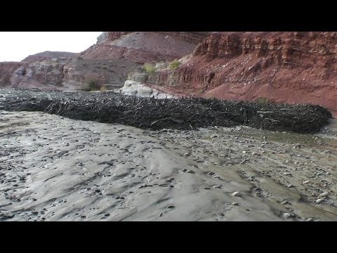 Amazing Flash Flood / Debris Flow Southern Utah HD