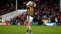 VIDEO: Shefflin - Clare hammering can help Cats