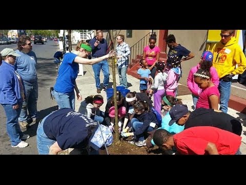 Revitalizing South Allison Hill - One Tree at a Time