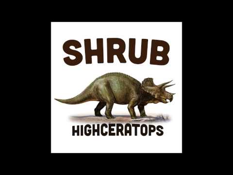 Shrub - Fast Lane