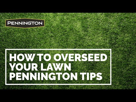 Tips from Pennington for Seeding or Overseeding Your Lawn