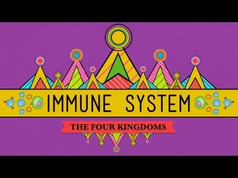 Your Immune System: Natural Born Killer - Crash Course Biology #32