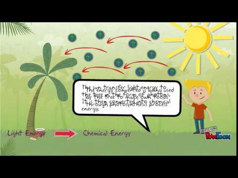 Thermodynamics-in biological system