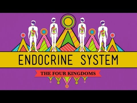 Great Glands - Your Endocrine System: CrashCourse Biology #33