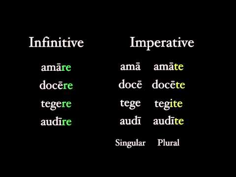 Imperatives