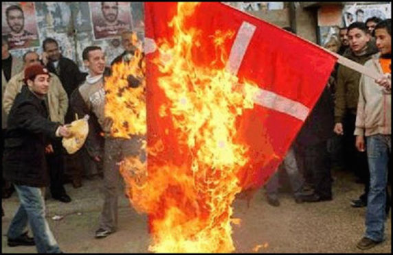 Muslims burning Danish Flag