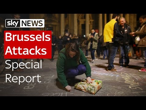 Brussels Attacks: Special Report