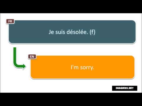 Learn 1600 new French phrases