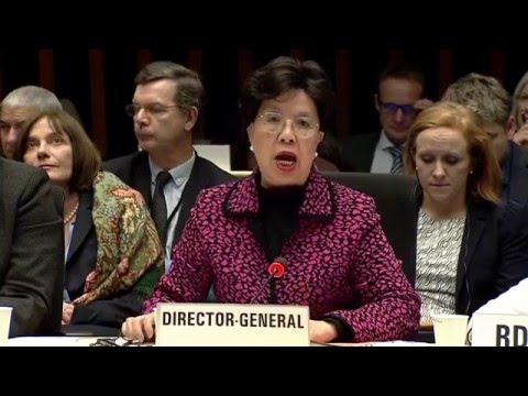 WHO: Director-General Dr. Margaret Chan briefs Executive Board on Zika situation 28JAN2016