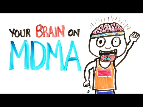 Your Brain On MDMA