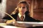 Emma Watson made the bulk of her £35 million ($68.6 million) fortune from playing Hermione Granger in the Harry Potter ...