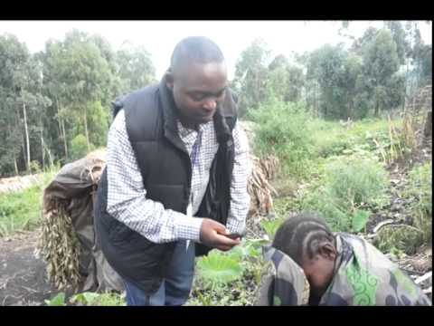 Journalist training field visit Kingi Democratic Republic of Congo North Kivu Province