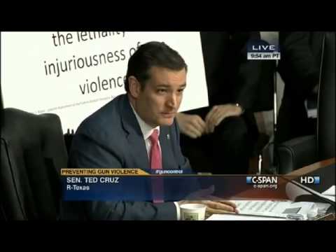 Sen. Ted Cruz Dismantles Assault Weapons Ban at Gun Control Hearing