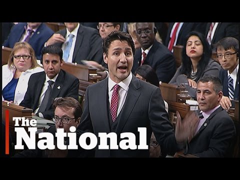 Prime Minister Justin Trudeau accused of 'manhandling' a MP in the House of Commons