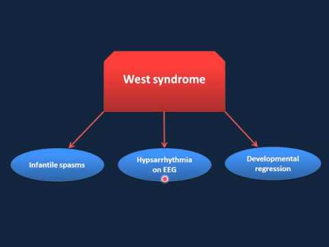 Pediatric Neurology Review