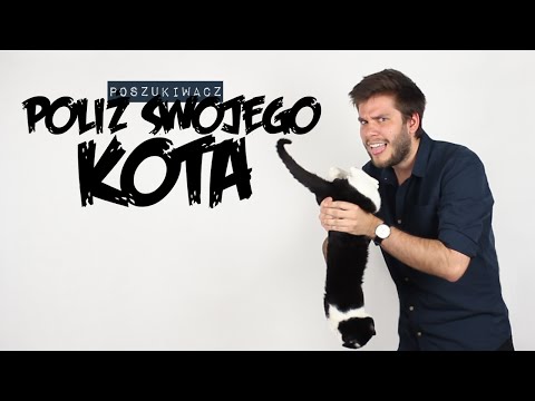 POLIŻ SWOJEGO KOTA | Poszukiwacz #198